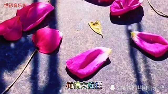 经典经典《梅花三弄》,原唱:姜育恒