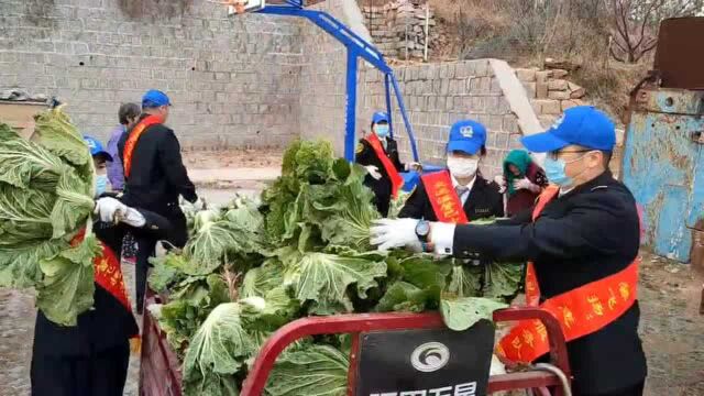 暖人心!志愿者帮村民抢收白菜(视频)