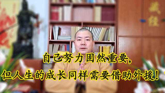 自己努力固然重要,但人生的成长同样需要借助外援|华林寺释普法