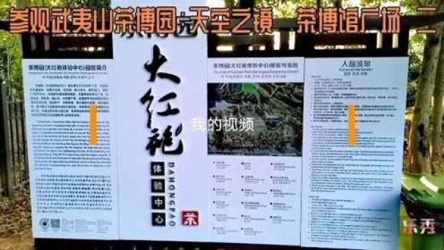 参观武夷山茶博园:天空之镜 茶博馆广场 二