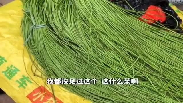 海南的野菜龙丝草,这还真没见过!