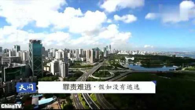 回顾:司机购买百万保险,怎料却因他肇事逃逸,保险公司竟拒不理赔