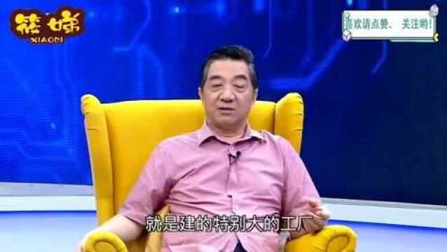 局座张召忠:重庆,是一个重点的后方基地,被称为大三线!