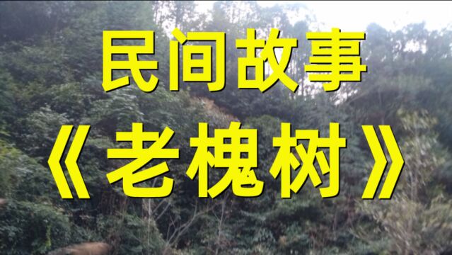 民间故事《老槐树》在村口的北边有一棵老槐树