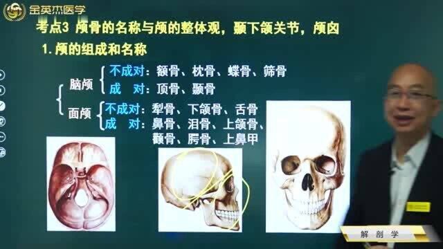 临床解剖学:颅骨的名称及其组成,颞下颌关节,颅卤,颅骨解剖结构图.