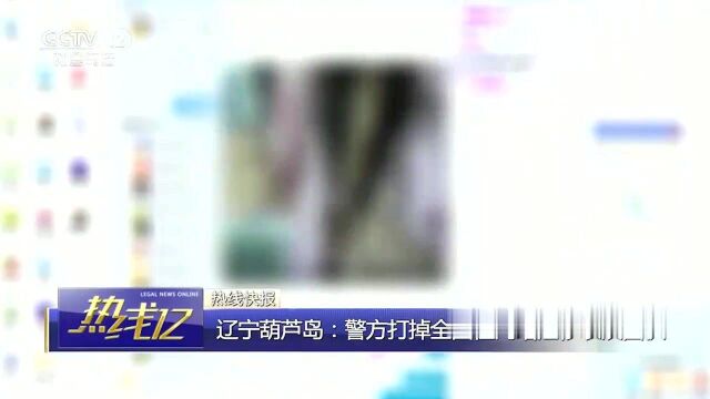 回顾:“春色满园”竟是淫秽表演窝点!组织少妇色情直播,17人被捕