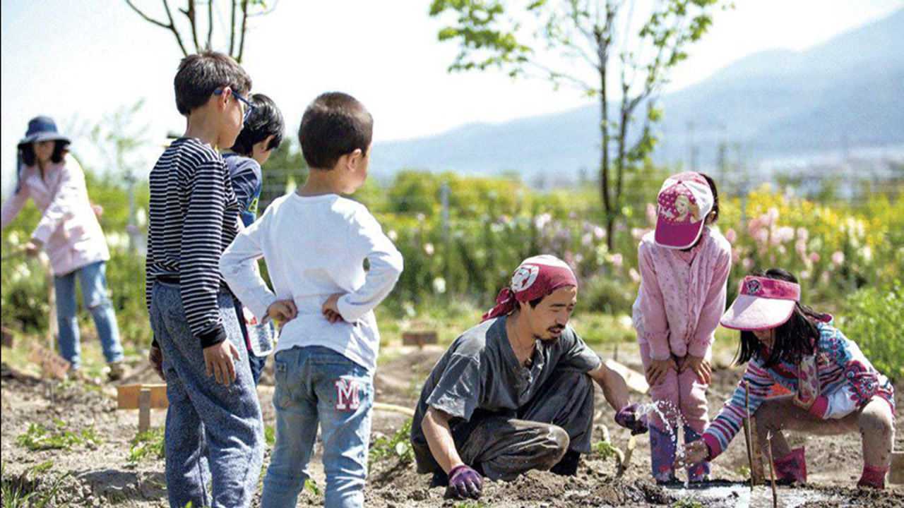 管理万亩农田,收入超过打工人,回村种地真香!