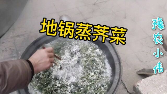 新鲜荠菜蒸着吃,方法传统味道不一般,一大锅没够一顿吃