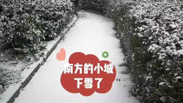 雪美人来到南方小城