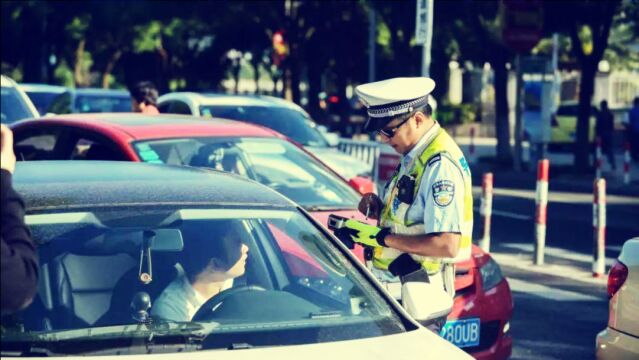 开车碰上鱼骨线怎么走?交警:这点必须要明白,不然12分不够扣