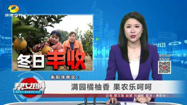 (冬日丰收)衡阳珠晖区:满园橘柚香 果农乐呵呵