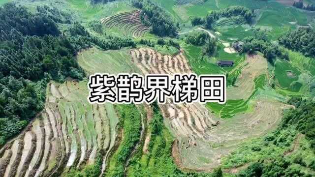 来湖南旅行,这两个好地方我要推荐给你们