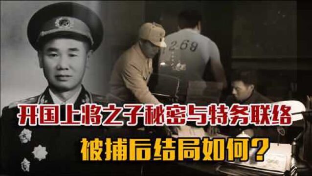 1962年湖北公安查获一特务信件,调查后:幕后黑手是陈再道之子