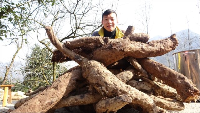 农村小伙制作葛根粉,天然的野生葛根,就得用最原始的方法来做