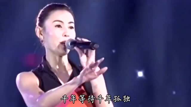 经典音乐分享,张柏芝伤感歌曲《白孤》千年等待千年孤独,唱哭了多少人