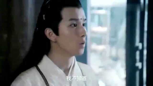 陈情令:金蓝两家小辈在义城相遇,看来有人在背后设计,才让他们会合