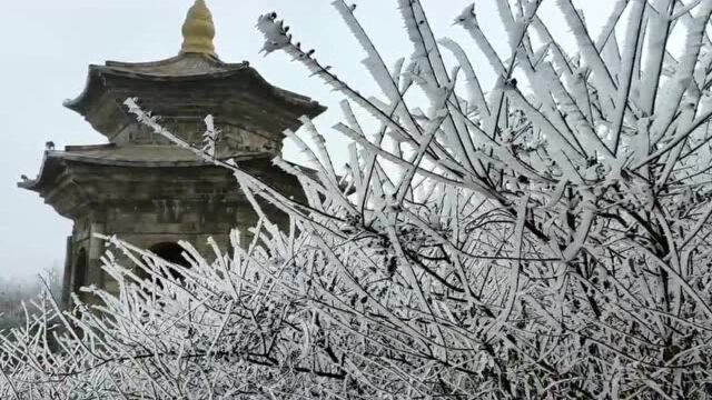 连云港花果山现云海雾凇奇观,宛若人间仙境