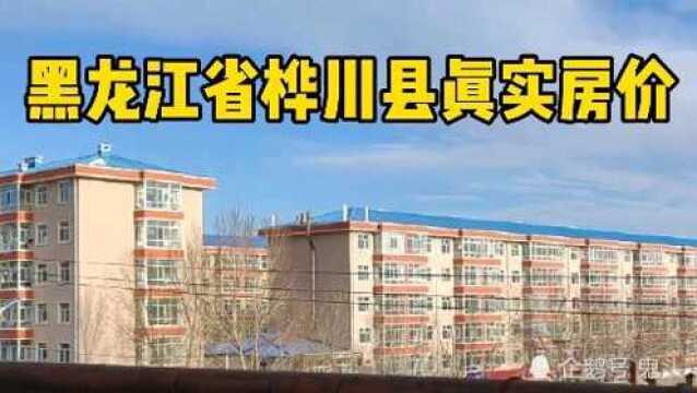 黑龙江省桦川县真实房价,现场访问老百姓,实地探房,以买房者身份打电话谈