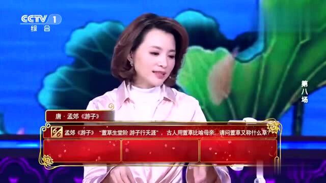 中国诗词大会:知道了黄花菜的几个别名,恭敬之心油然而生