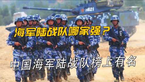 海军陆战队作用重要，中国海军陆战队发展如何？
