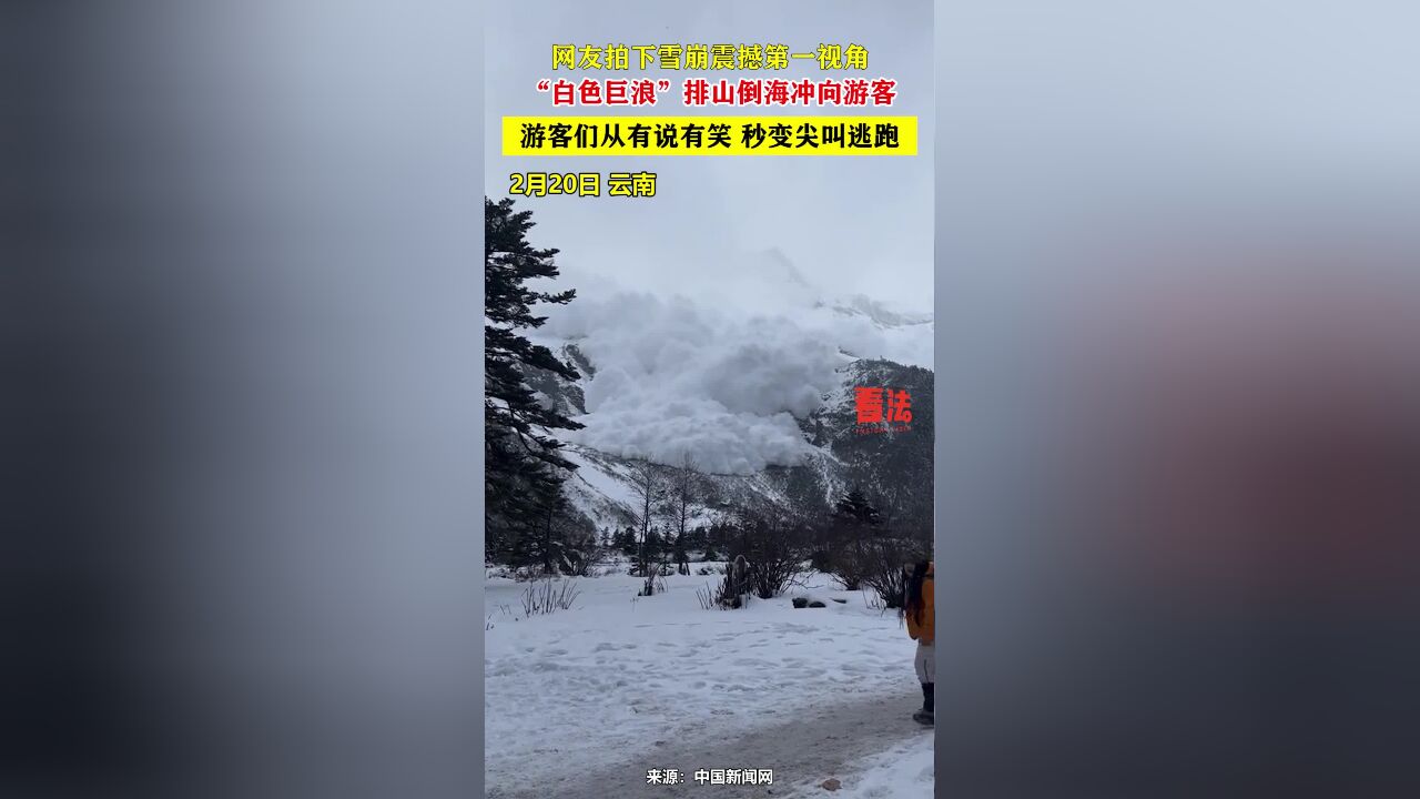 网友拍下雪崩震撼第一视角,“白色巨浪”排山倒海冲向游客