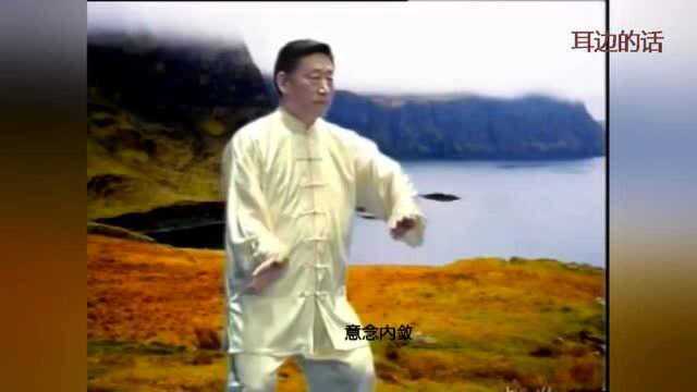 太极拳魏氏评级法