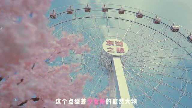 手机摄影:东湖之眼 最美摩天轮