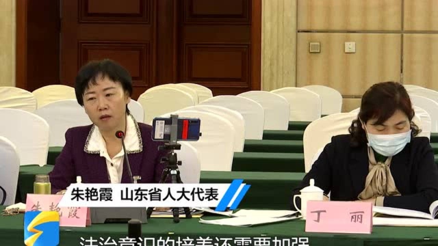 聚焦2021山东两会|省人大代表朱艳霞:少年法庭和未成年犯审判工作应主动走进校园