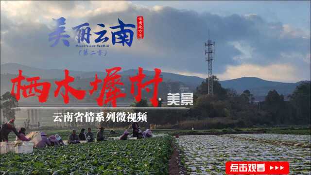 美丽云南(第二季)| 峨山秘境 凤栖之处——美景:玉溪峨山ⷦ –木墀村