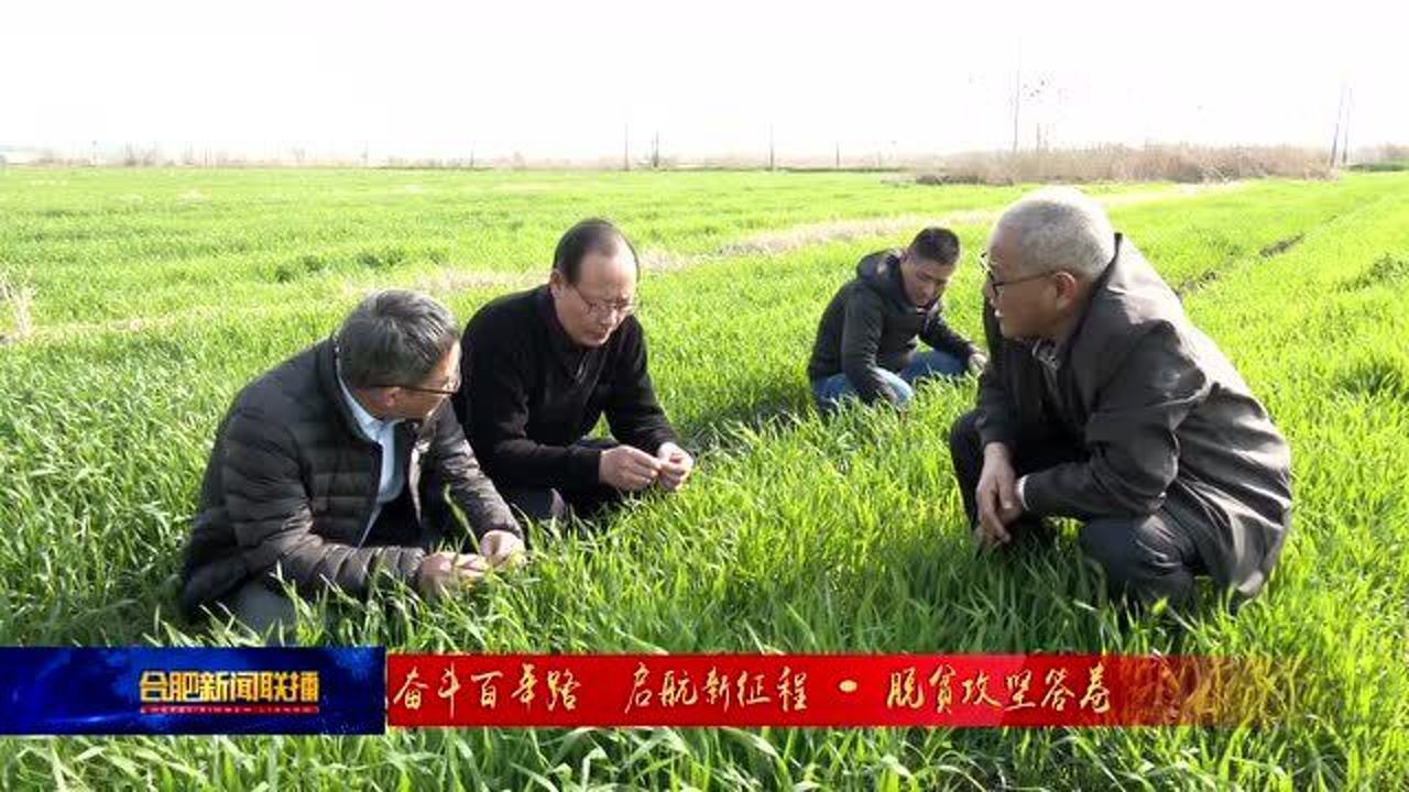 《摆脱贫困》专题片在巢湖乡村引热议