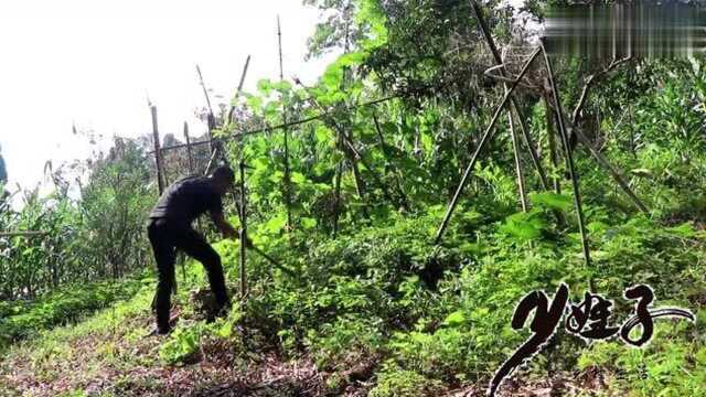 琅琊土豆,农村娃儿最爱的零食小吃,一定要学会做给家人吃