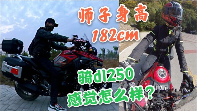 骑士身高一米八,骑豪dl250去摩旅怎么样?师子揭晓答案!