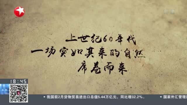 “三千孤儿入内蒙”上海电视剧《国家孩子》还原真实故事