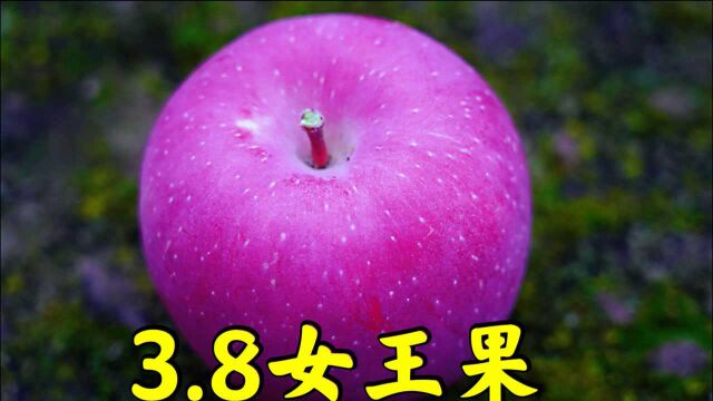 老板:今天38节你有啥表示没?三毛:送她个女王苹果