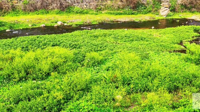 乡村出行郊游自然风景,日景真美