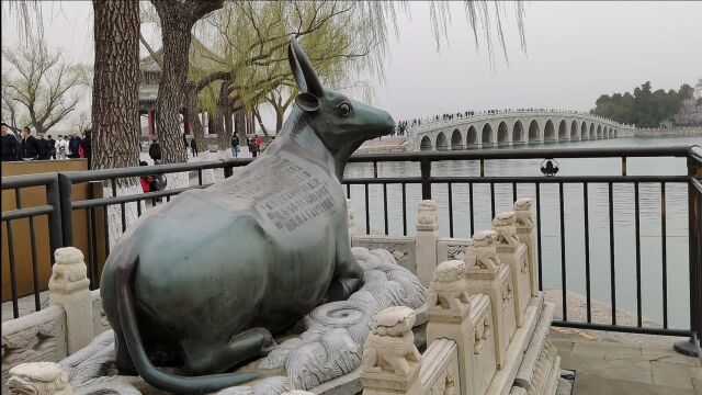 京城踏春好去处,颐和园西堤湖畔的微风吹动嫩嫩的柳枝,煞是好看,铜牛在十七孔桥边遥望湖中岛,景色美如画