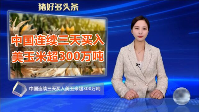 3天!购入美国玉米超300万吨!玉米供求紧张,进口将继续扩大?