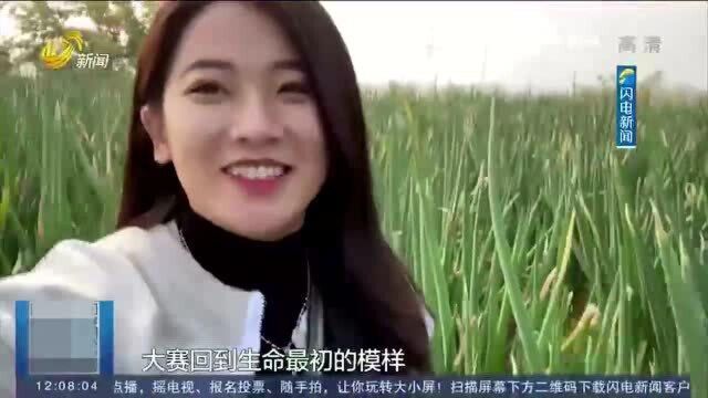 比姚明还高的章丘大葱 凭什么这么火?