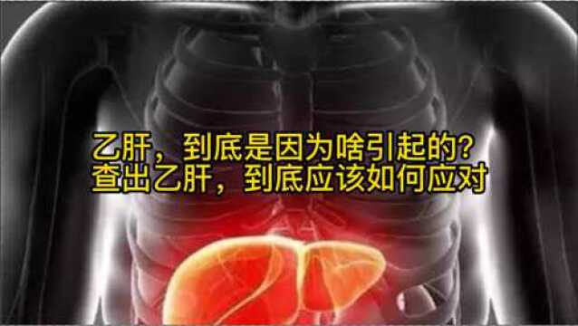 乙肝,到底是因为啥引起的?查出乙肝,到底应该如何应对