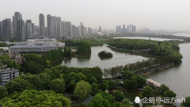 飞起来看看湖光序曲,春日的武汉东湖景区真值得一游