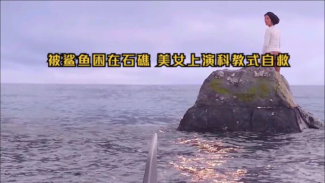 被鲨鱼困在石礁,美女上演科教式自救