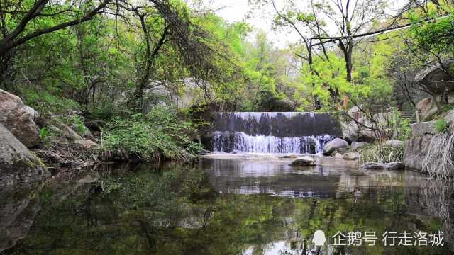 小伙逃离都市生活,去北方九寨神灵寨游玩,迷上悠闲生活不舍离开