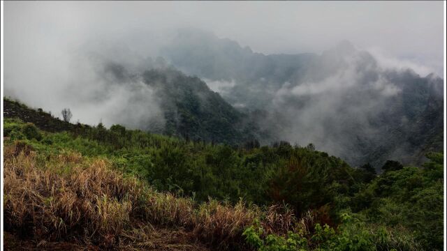 电闪雷鸣,瓢泼大雨,闹中取静,雷鸣中取得一份宁静,安逸,淅淅索索的声音,治愈您失眠,抑郁和洗去你闹市中烦躁的心情