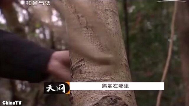 残忍,盗猎团伙疯狂作案,森林公安现场收缴37件动物肢体!