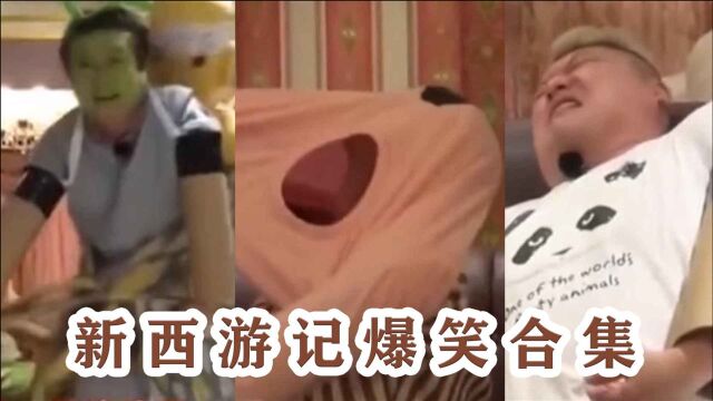 安宰贤穿衣服名场面!全程滑稽动作笑翻李寿根