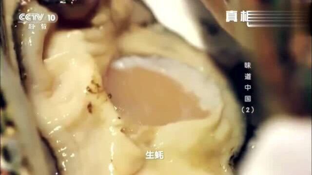 舌尖上的中国:“生蚝”男人的加油站,生蚝的吃法也是很讲究的