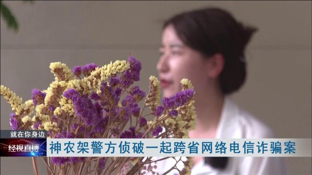 神农架警方侦破一起跨省网络电信诈骗案