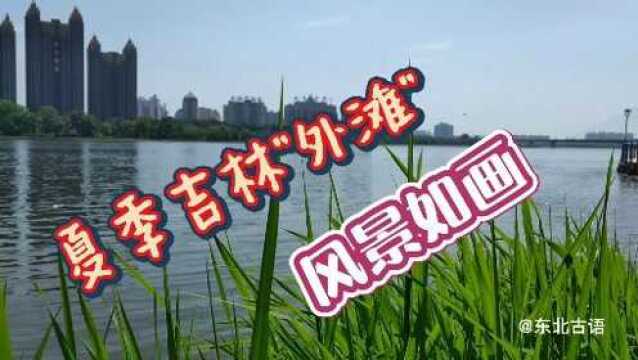 旅游故事:夏季的吉林”外滩”,风景如画!