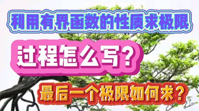 利用有界函数性质求极限,过程怎么写?最后一个极限如何求?