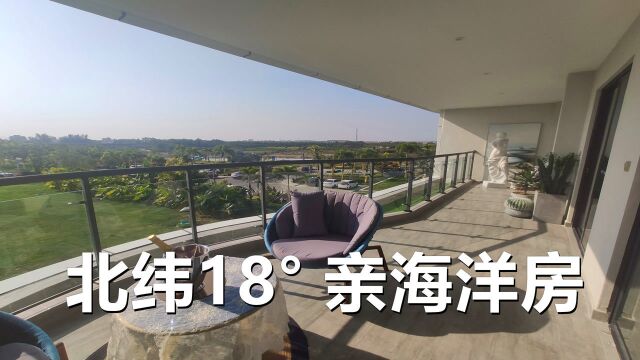 北纬18度豪宅,乐东龙栖湾104平亲海洋房到底长什么样?